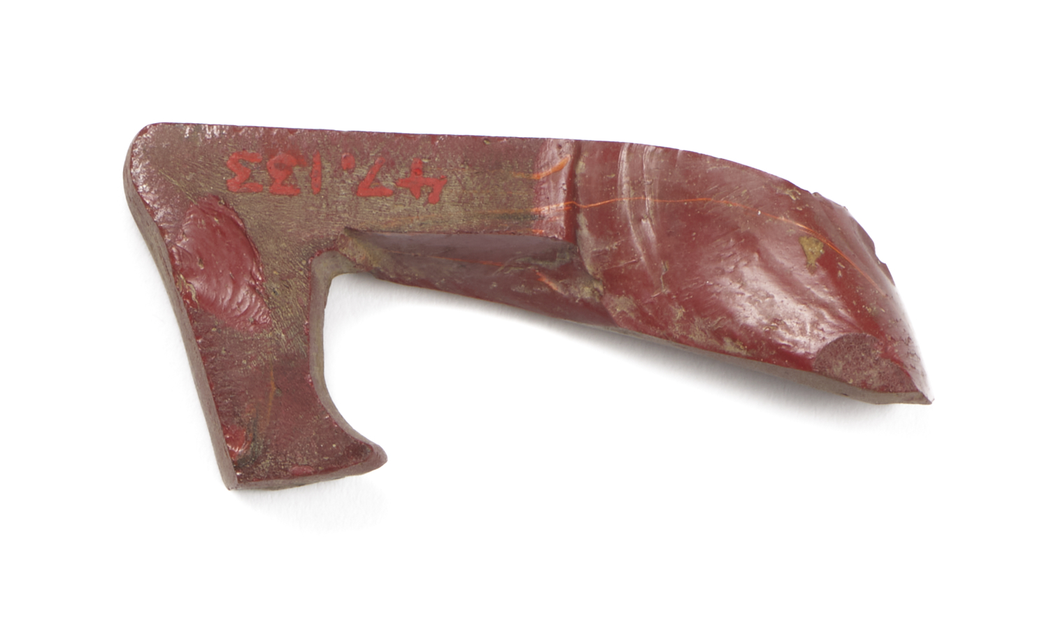 Image for Inlay of a Leg